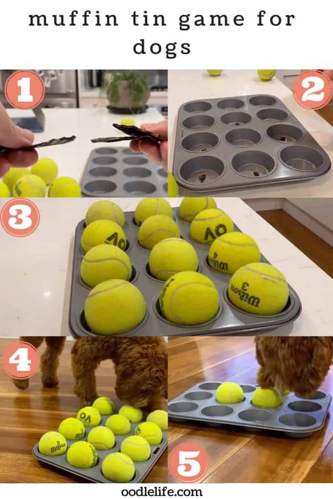 muffin tin dog puzzle