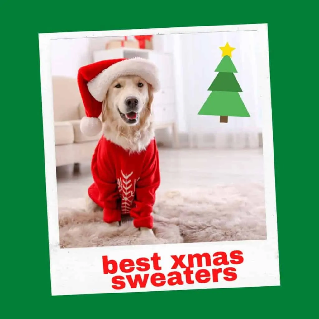 best large dog xmas sweaters