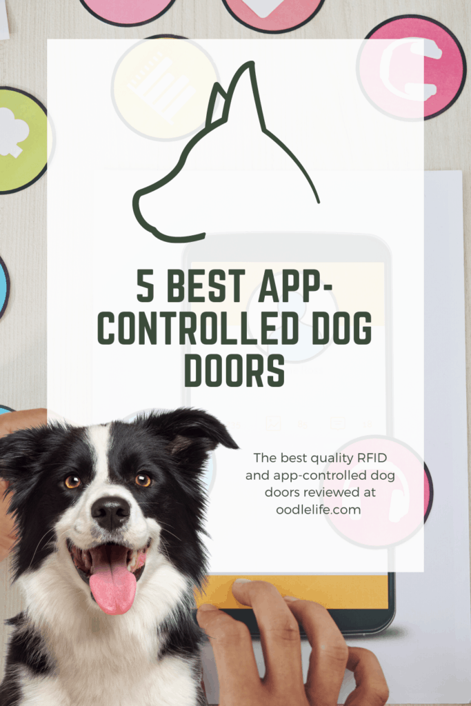 app controlled dog door