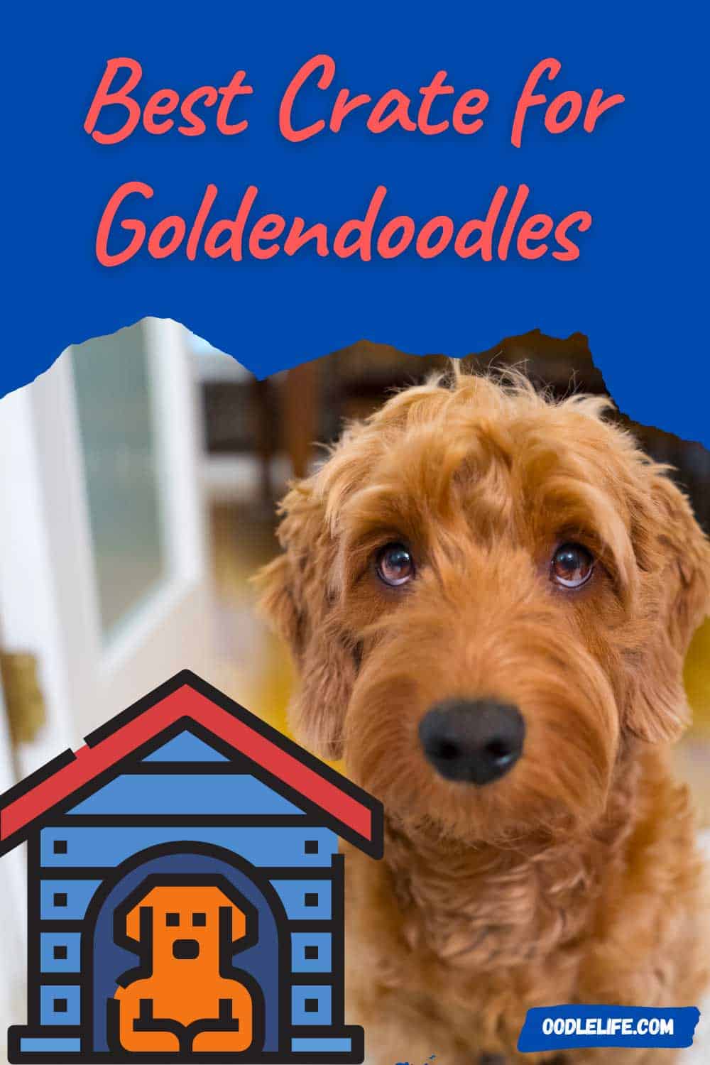 5 Best Dog Crates For A Goldendoodle (Reviews) - Oodle Life