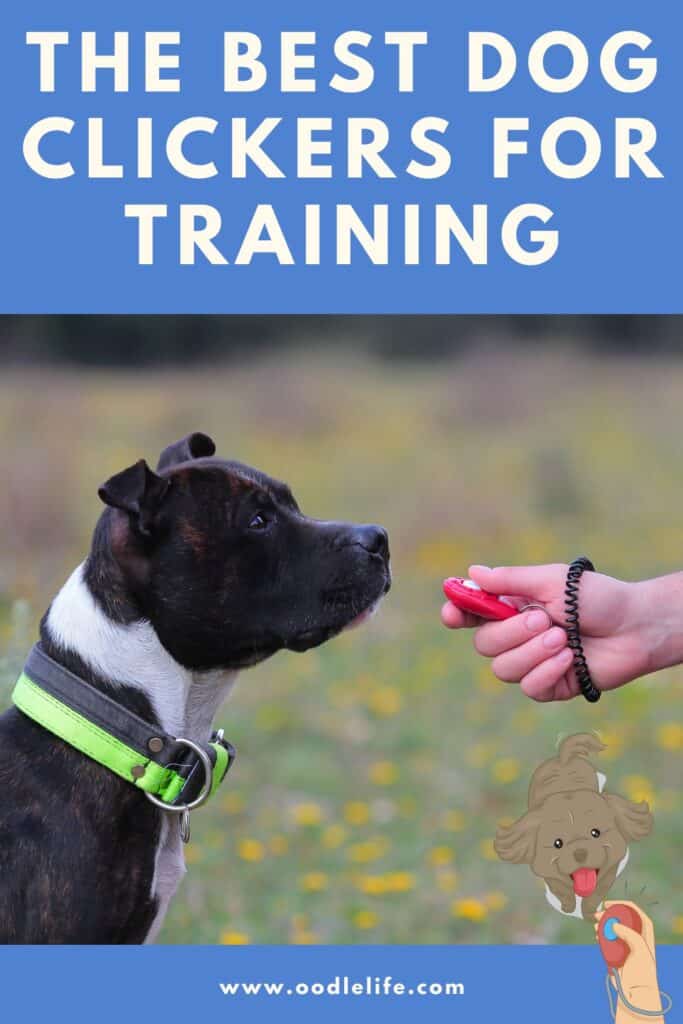 what is the best dog training clicker