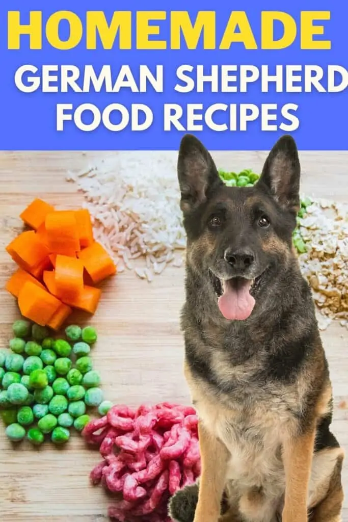 German Shepherd Homemade Food Recipes Oodle Life