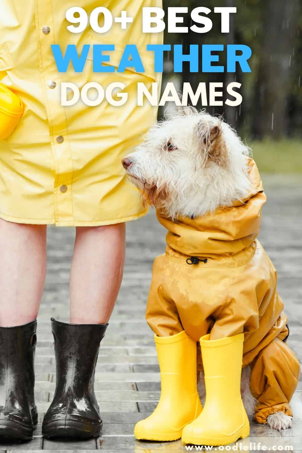 Winter Weather Dog Names