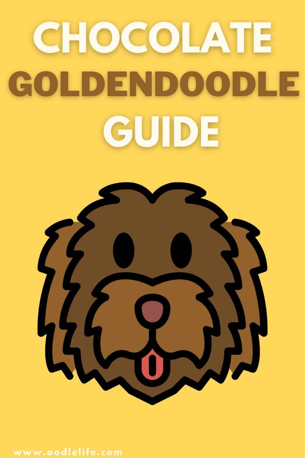 Chocolate Goldendoodle - Complete Guide (With Photos) - Oodle Life