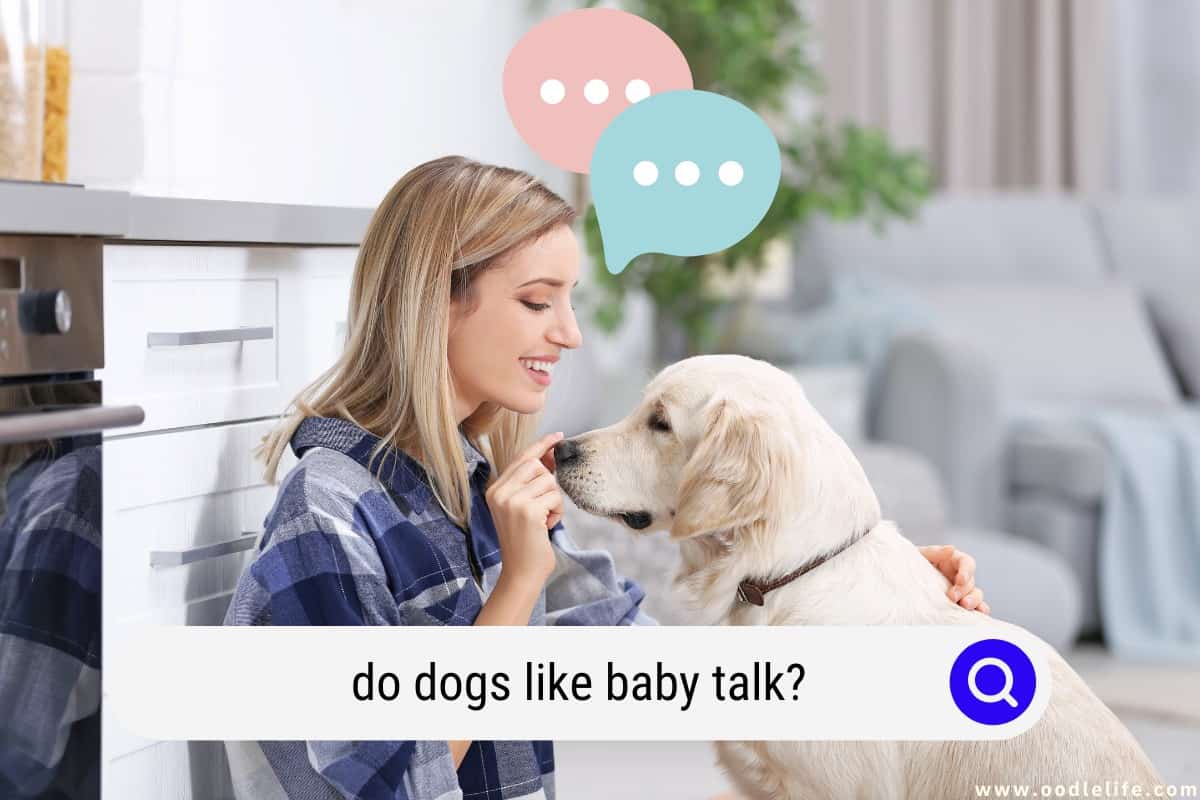 why do we talk to dogs like babies