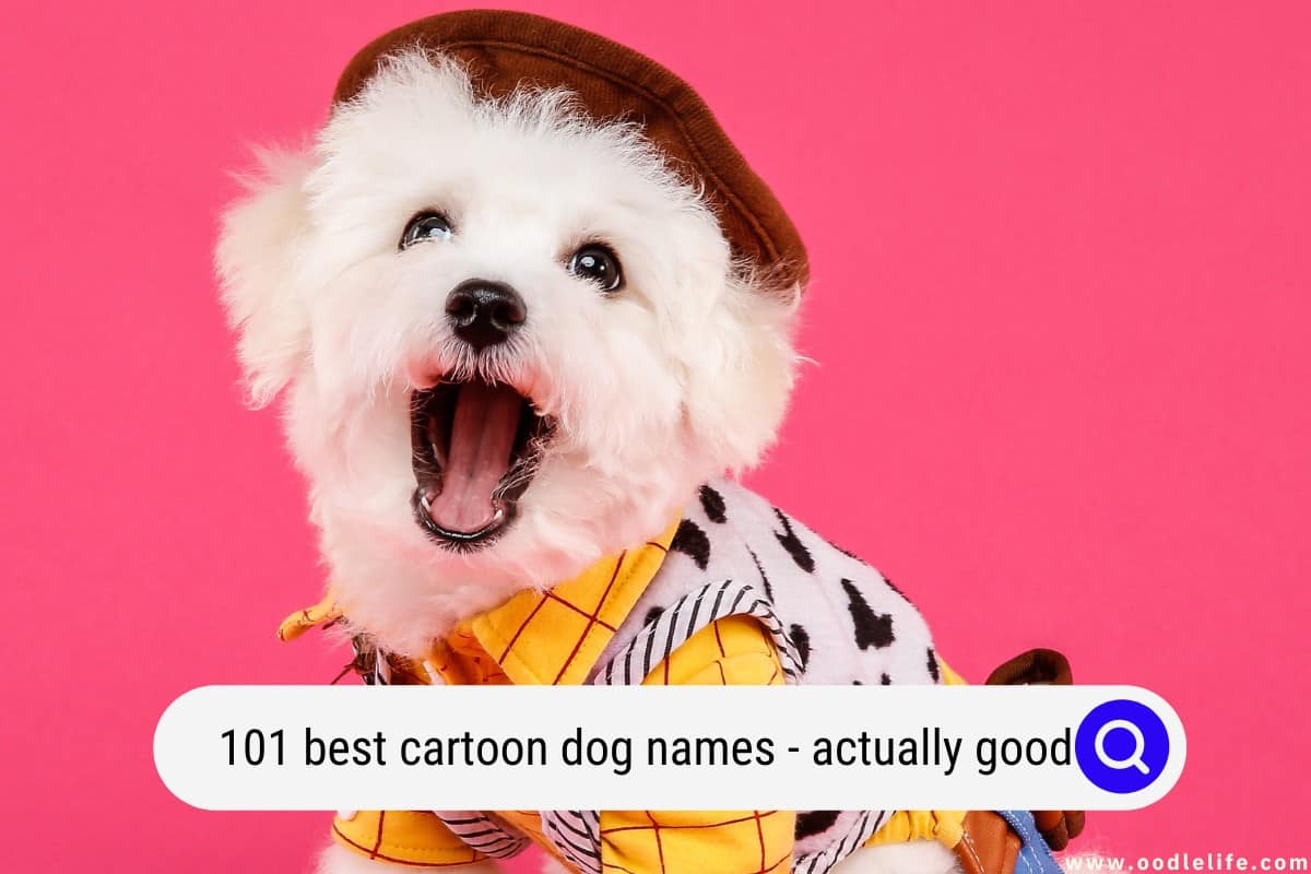 101 Best Cartoon Dog Names Actually Good 2023 Oodle Life