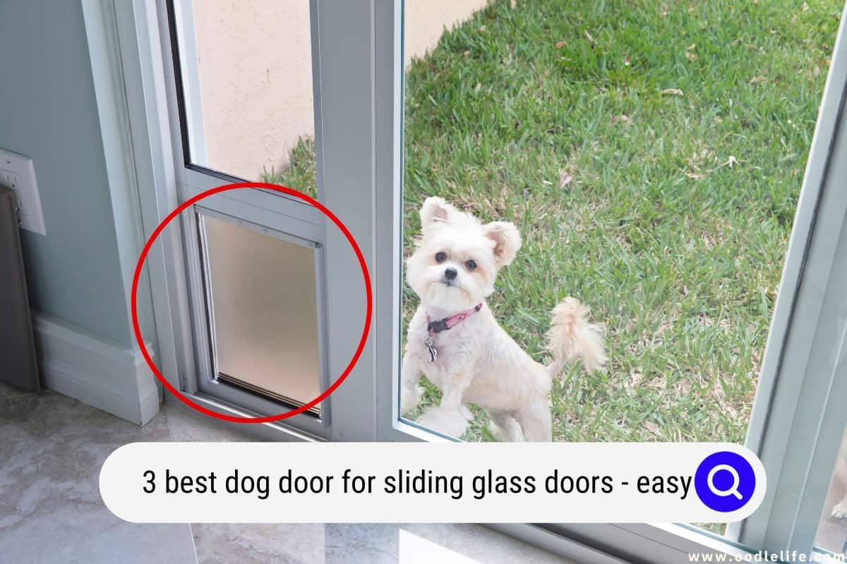 what is the best dog door for sliding glass door