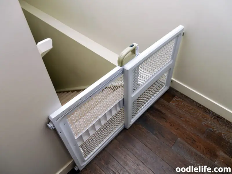 baby gates for safety